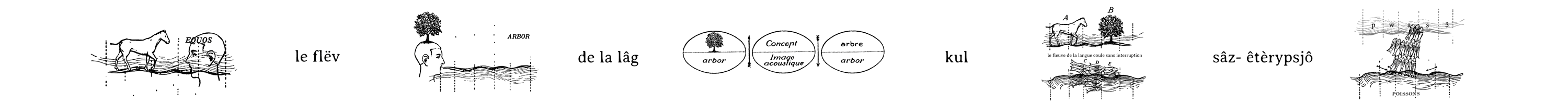 panocapsuleB.png