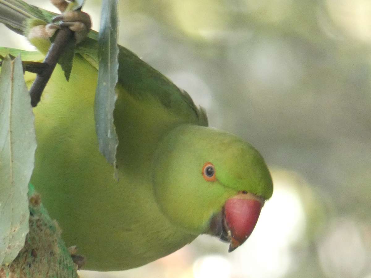 P1010742