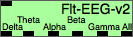 Flt-EEG-v2