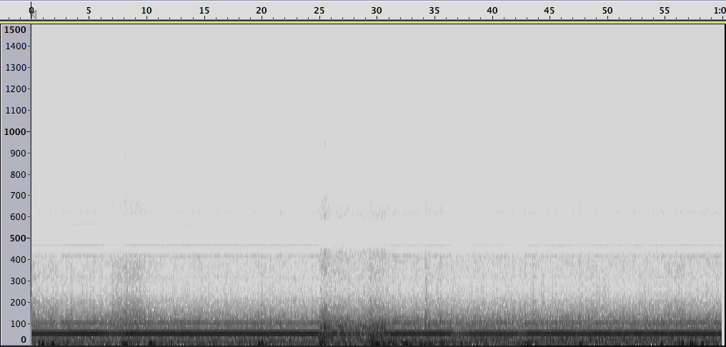 Spectre-1min-1.5kHz-4096-Hanning