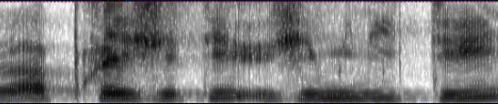 Praat-Spectrogramme